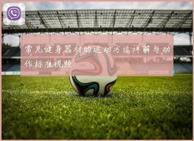 常见健身器材的运动方法详解与动作标准视频