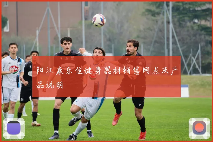 阳江康乐佳健身器材销售网点及产品说明