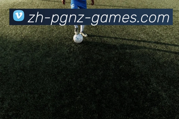 PG电子官方网站服务体系